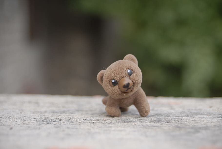 orso, giocattolo, tenerezza, rappresentazione, pupazzo di pezza, orsacchiotto di peluche, rappresentazione animale, infanzia, messa a fuoco selettiva, avvicinamento, Marrone, singolo oggetto, legno - materiale, natura morta, giorno, morbidezza, animale giocattolo, creatività, concentrarsi sulle conoscenze acquisite, all'aperto, natura, 4K