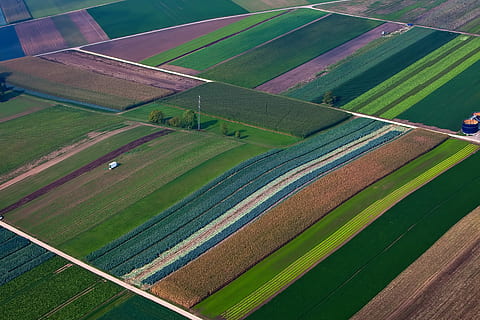 letecký, fotografování, pole, Pohled, zelená, travnaté hřiště, tráva, krajina, řádky, barva, přistát, zelená barva, zemědělství, klidné scény, hospodařit, rostlina, klid, scenics - příroda, růst, patchwork krajiny, venkovské scény, nikdo, Příroda, životní prostředí, krása v přírodě, letecký pohled, den, venku, plantáž, výše, 5K, CC0, veřejná doména, bez autorských práv