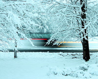 timelapse fotografie, vehicul, trecere, copac, grinzi luminoase, faruri, stopuri, razele, accelerarea mașinii, estompa, iarnă, temperatura rece, zăpadă, îngheţat, natură, frumusețe în natură, nici o persoana, plantă, acoperire, zi, culoare alba, gheaţă, scenice - natura, liniște, scenă non-urbană, mediu inconjurator, în aer liber, teren, sloi de gheaţă, praf de zăpadă, 2K, CC0, domeniu public, fără drepturi de autor