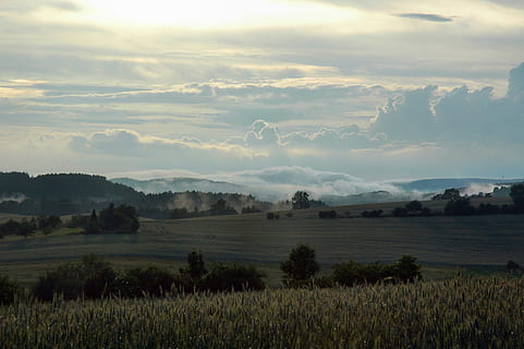 mgła, Hinterhermsdorf, krajobraz, Natura, rolnictwo, scena wiejska, gospodarstwo rolne, łąka, środowisko, scenics - natura, chmura - niebo, roślina, piękno natury, niebo, spokój, spokojna scena, wylądować, drzewo, pole, żadnych ludzi, trawa, scena pozamiejska, idylliczny, na dworze, 2K, CC0, domena publiczna, darmowe zdjęcia
