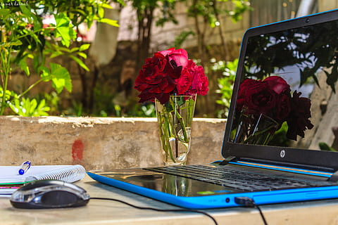 ordinateur portable hp, tourné, cordée, Souris, de face, jour, brouiller, affaires, ordinateur, lien, lumière du jour, bureau, électronique, flore, fleurs, jardin, l'Internet, portable, feuilles, amour, Matin, carnet, en plein air, les plantes, roses rouges, réflexion, nature morte, été, table, La technologie, sans fil, travail, plante à fleurs, plante, fleur, la nature, beauté dans la nature, vase, personne, fraîcheur, vulnérabilité, arrangement de fleurs, se concentrer sur le premier plan, journée, fermer, tête de fleur, fragilité, croissance, arrangement, bouquet, verre, 5K, CC0, domaine public, libre de droits