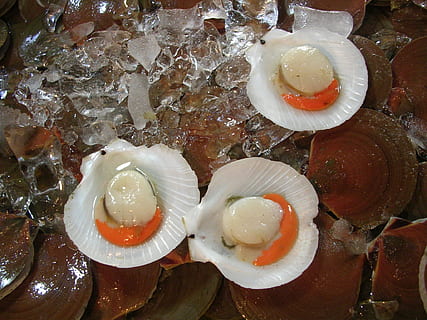 skorupiak, lód, świeży, owoce morza, surowy, smakosz, zdrowy, zimno, restauracja, pyszne, obiad, rynek, składnik, jeść, morski, krewetka, przystawka, talerz, supermarket, mięczak, jedzenie i picie, żadnych ludzi, zbliżenie, wewnątrz, drink, zdrowe odżywianie, jedzenie, świeżość, dobre samopoczucie, wysoki kąt widzenia, kawałek, owoc, martwa natura, owoc cytrusowy, Gotowy do jedzenia, surowe jedzenie, kolor pomarańczowy, zimna temperatura, jajko, 1080P, CC0, domena publiczna, darmowe zdjęcia