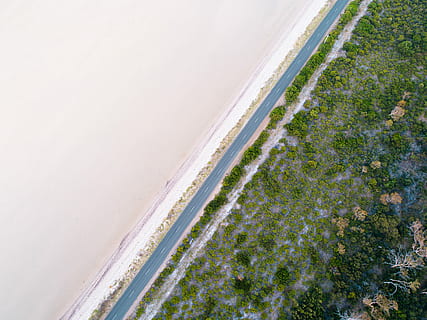 aerian, vedere, beton, drum, fotografie, verde, plante, Despică, trântor, viziune drone, simetric, simetrie, diagonală, pădure, nisip, plaja de nisip, minim, peisaj minimalist, apă, teren, mare, plajă, nici o persoana, zi, natură, scenice - natura, frumusețe în natură, sportiv, vedere în unghi mare, mişcare, în aer liber, liniște, sport acvatic, înclinare, o scenă liniștită, 4K, CC0, domeniu public, fără drepturi de autor