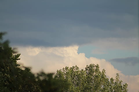 before the storm, cloud, landscape, tree, plant, cloud - sky, sky, beauty in nature, tranquility, scenics - nature, nature, growth, no people, day, low angle view, outdoors, tranquil scene, treetop, non-urban scene, green color, environment, idyllic, mountain, 4K, CC0, public domain, royalty free