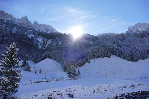 udsigt, rejselyst, fremsyn, sne, kold temperatur, vinter, himmel, træ, scenics - natur, skønhed i naturen, bjerg, plante, sol, natur, sollys, rolig scene, ro, landskab, ingen mennesker, linseflare, solstråle, miljø, fyrretræ, snedækket bjerg, nåletræ, udendørs, lyse, fyrreskov, 5K, CC0, offentligt domæne, royaltyfrie