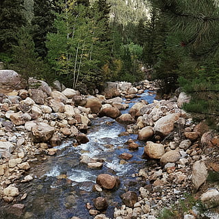corriente, rocas, arroyo, bosque, roca - objeto, agua, naturaleza, árbol, Guijarro, rock, sólido, planta, día, belleza en la naturaleza, nadie, río, tierra, tranquilidad, escena no urbana, paisajes - naturaleza, escena tranquila, piedra - objeto, al aire libre, agua que fluye, corriente - agua que fluye, fluido, árbol conífero, superficial, 2K, CC0, dominio público, libre de derechos