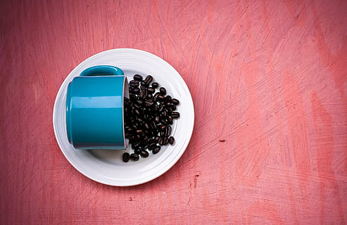 kaffebønne, tjene, hvid, underkop, kaffe, bønner, blå, rød, koffein, ristede, espresso, drik, drikke, lækker, tropisk, pause, brygge, java, morgenmad, stege, sort, kop, frisk, bønne, mad, baggrunde, træ - materiale, Brun, frø, bord, mad og drikke, indendørs, friskhed, sødt mad, overbærenhed, plade, ingen mennesker, direkte over, sød, stilleben, tæt på, dessert, bagt, høj vinkel visning, usund spisning, klar til at spise, kage, fristelse, porcelæn, 2K, CC0, offentligt domæne, royaltyfrie
