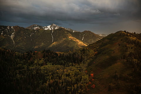 braun, Berge, Bäume, Weiß, Wolken, Vogelperspektive, Fotografie ansehen, Gebirge, Berg, Wald, Baum, fallen, Licht, Horizont, schneebedeckt, Gipfel, Weg, Landschaft, Salt Lake City, Utah, Herbst, Himmel, Szenen - Natur, Schönheit in der Natur, wolke - himmel, Umgebung, Pflanze, Natur, ruhige Szene, keine Leute, Ruhe, Land, Nicht-städtische Szene, idyllisch, Tag, Wachstum, draußen, 8K, CC0, gemeinfrei, lizenzfrei