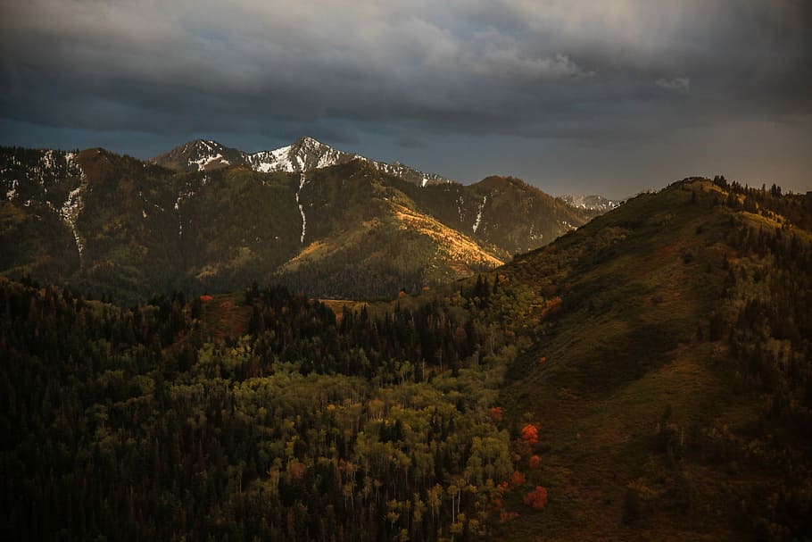 braun, Berge, Bäume, Weiß, Wolken, Vogelperspektive, Fotografie ansehen, Gebirge, Berg, Wald, Baum, fallen, Licht, Horizont, schneebedeckt, Gipfel, Weg, Landschaft, Salt Lake City, Utah, Herbst, Himmel, Szenen - Natur, Schönheit in der Natur, wolke - himmel, Umgebung, Pflanze, Natur, ruhige Szene, keine Leute, Ruhe, Land, Nicht-städtische Szene, idyllisch, Tag, Wachstum, draußen, 8K