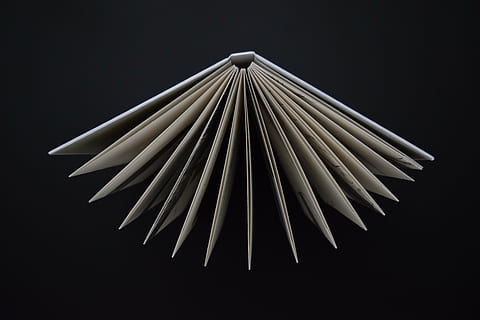 white, book, open, black, background, range, pages, studio shot, black background, indoors, no people, close-up, large group of objects, still life, paper, abundance, creativity, shape, white color, circle, single object, geometric shape, arrangement, pattern, cut out, simplicity, stack, purity, 5K, CC0, public domain, royalty free