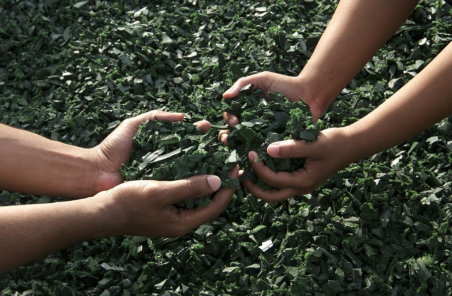 gent, celebració, verd, fulles, mans, treballant junts, treball en equip, cautxú reciclat, mà humana, naturalesa, creixement, agricultura, jardineria, brutícia, planta, medi ambient, a l'aire lliure, mà, part del cos humà, dia, color verd, menjar, frescor, full, menjar i beguda, part de la planta, dones, persona irreconeixible, alimentació saludable, fruita, 4K