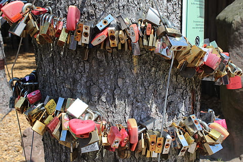 wedding, for ever, castle, security lock, padlock, love, connection, pair, romance, affection, stainless, affiliated, love symbol, connected, hanging, lock, protection, security, love lock, day, large group of objects, safety, positive emotion, belief, abundance, religion, no people, emotion, luck, built structure, outdoors, 5K, CC0, public domain, royalty free
