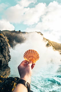 person, showing, brown, sea shell, clam, shell, hand, arm, watch, sea, ocean, water, waves, nature, outdoor, rocks, coast, mountain, clouds, sky, beach, outdoors, summer, vacations, travel, people, human hand, holding, real people, one person, human body part, cloud - sky, day, rock, lifestyles, personal perspective, beauty in nature, unrecognizable person, animal shell, body part, finger, human limb, 4K, CC0, public domain, royalty free