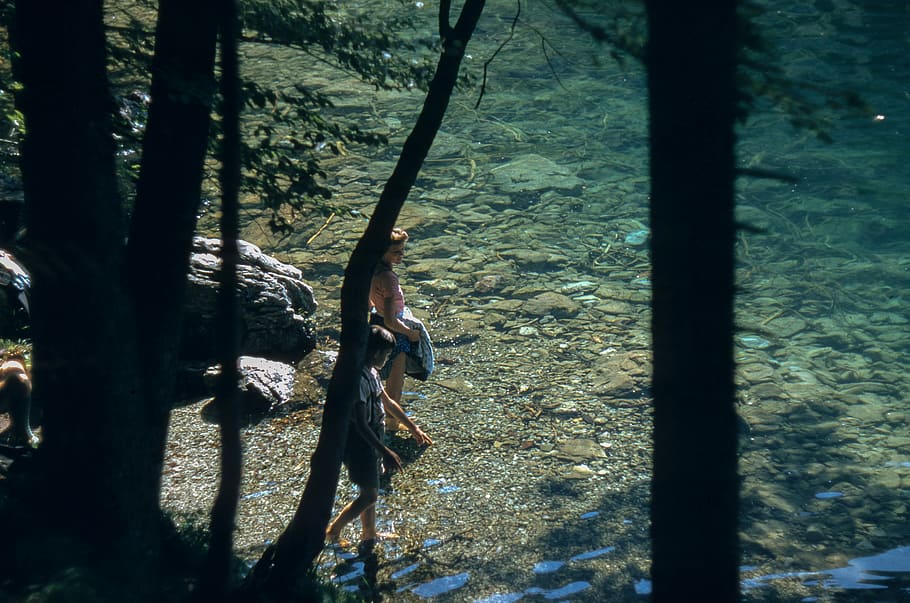 dona, noi, de peu, cos, aigua, dos, dones, arbre, bosc, verd, remar, vadear, persona, silueta, nen, riu, terra, planta, naturalesa, tronc, tronc de l'arbre, dia, a l'aire lliure, creixement, llum solar, cap gent, activitat d'oci, ombra, vista d’angle alt, estils de vida, bambú - planta, 5K