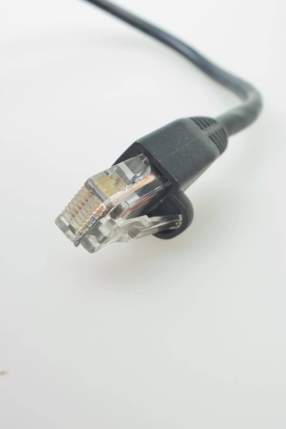 cables de xarxa, rj, endoll, cable de connexió, xarxa, cable, línia, fs, processament de dades, rj-45, connexió, rj45, lan, connector de xarxa, cable de lan, pegat, macro, endoll de connexió de xarxa, cable d’ordinador, comunicació, còpia espai, primer pla, tir de l'estudi, xarxa d’ordinadors, fons blanc, Internet, tecnologia, a l'interior, tallar, tecnologia sense fils, natura morta, sol objecte, cap gent, centrar-se en primer pla, color negre, equipament elèctric, 2K