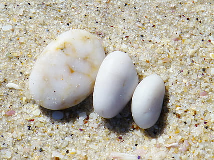 pedres, llis, infern, stand, piràmide, regulació, sorra, fauna animal, animal, cap gent, animals a la natura, primer pla, platja, terra, temes d'animals, mar, naturalesa, la vida marina, marí, shell, dia, sota l'aigua, bellesa a la natura, invertebrat, vista d’angle alt, sòlid, còdols, 4K, CC0, domini públic, lliure de regalies