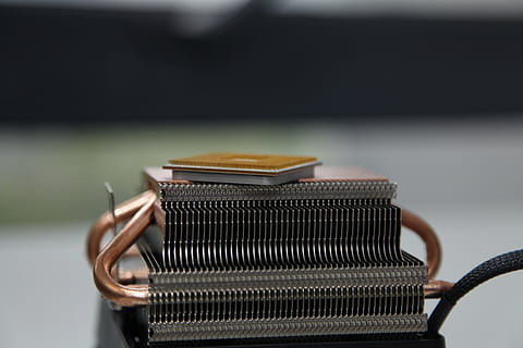 CPU, 과, 핀, 전경 초점, 닫다, 음식과 음료, 식품, 실내, 단일 개체, 한 사람, 사본 공간, 스튜디오 촬영, 일, 컨테이너, 보유, 선택적 포커스, 예비, 과학 기술, 빵, 5K, CC0, 공개 도메인, 로열티 무료