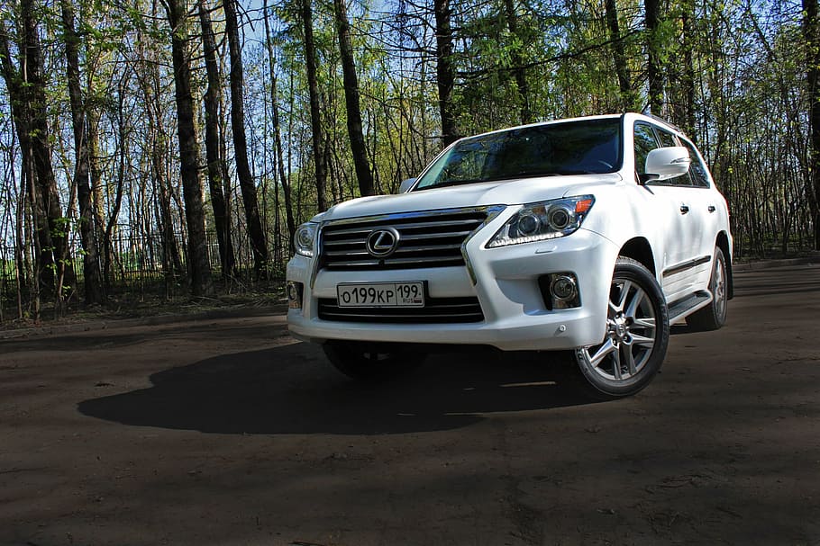 lexus, màquina, automàtic, transport, cotxe, carretera, sintonització, motor, emoció, bosc, vehicle terrestre, roda, vehicle utilitari esportiu, 4x4, velocitat, carrer, vehicle utilitari crossover, 4wd, vehicle tot terreny, mode de transport, Carretera bruta, manera de transport, automòbil, arbre, planta, terra, dia, naturalesa, estil retro, a l'aire lliure, viatjar, escena no urbana, cap gent, creixement, color plata, 2K