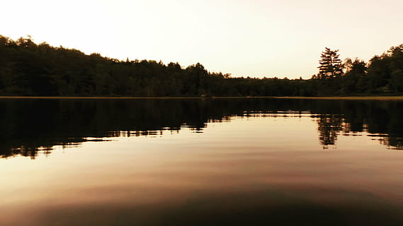 calm, lake, surrounding, trees, near, mountain, daytime, water, reflection, nature, sky, plants, dark, sunset, tree, tranquil scene, tranquility, scenics, beauty in nature, no people, scenics - nature, plant, silhouette, forest, travel destinations, non-urban scene, holiday, copy space, outdoors, woodland, reflection lake, 4K, CC0, public domain, royalty free