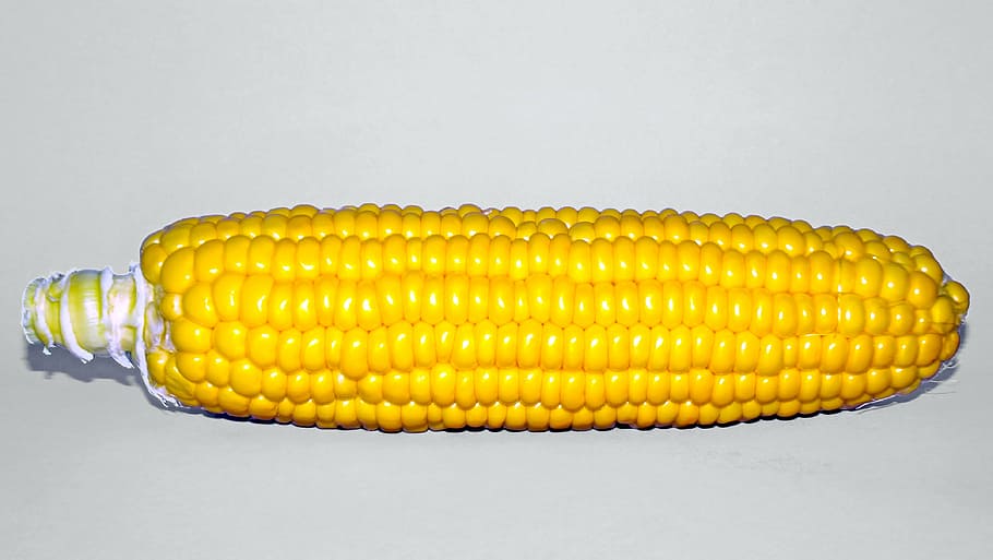 mais giallo, Egitto, macro, studio, angolo, cibo, mozzicone, vicino, fresco, giardino, giallo, naturale, biologico, tacchino, Mais, girato in studio, pannocchia, avvicinamento, nessuno, verdura, sfondo bianco, mangiare sano, cibo e bevande, benessere, in casa, singolo oggetto, mais dolce, freschezza, sfondo grigio, grigio, cibo crudo, maturo, cibo vegetariano, 4K