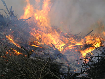easter fire, fire, easter, fire - Natural Phenomenon, flame, burning, heat - Temperature, smoke - Physical Structure, nature, inferno, red, outdoors, forest fire, warning sign, environmental issues, communication, sign, destruction, environmental damage, accidents and disasters, pollution, glowing, environment, forest, air pollution, bonfire, power in nature, rainforest, 1080P, CC0, public domain, royalty free