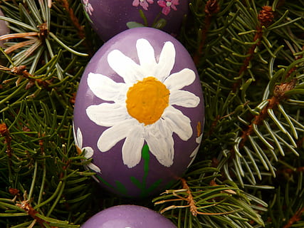 paasei, verf, Pasen, easter egg schilderij, Paas eieren, ei, schilderij, kunst, kleur, kleurrijk, Purper, margarethe, bloem, detailopname, geen mensen, dag, buitenshuis, viering, fabriek, bloeiende plant, versheid, schoonheid in de natuur, bloemblad, groei, bloeiwijze, bloemhoofd, kwetsbaarheid, breekbaarheid, natuur, stuifmeel, witte kleur, hoge hoekmening, groene kleur, 2K, CC0, publiek domein, royaltyvrij