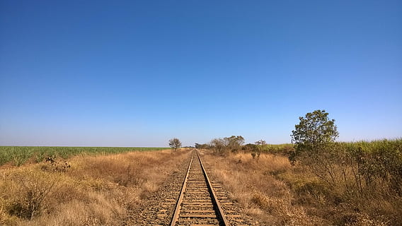 ferrocarril, tren, arbre, herba, cel, vies del ferrocarril, transport, transport per ferrocarril, punt de fuga, cel clar, el camí a seguir, paisatge, pista, planta, naturalesa, còpia espai, medi ambient, blau, cap gent, direcció, escena no urbana, perspectiva decreixent, terra, escenics - natura, a l'aire lliure, semiàrid, recta, clima àrid, 2K, CC0, domini públic, lliure de regalies