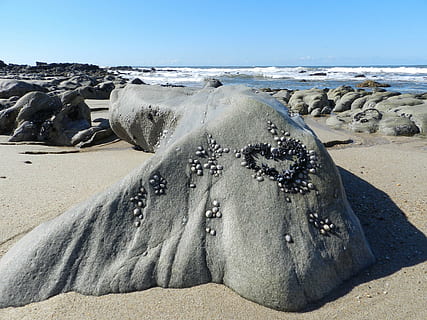 sten-, Mar, strand, hav, natur, kystlinje, sand, rock-objekt, jord, vand, himmel, skønhed i naturen, scenics - natur, dag, klippe, ro, solid, rolig scene, ingen mennesker, sollys, udendørs, ikke-urbane scene, 4K, CC0, offentligt domæne, royaltyfrie