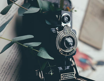 Černá, Fotoaparát, vedle, zelená, listoval, rostlina, zařízení, technologie, staromódní, detail, nikdo, uvnitř, den, fotografická témata, retro stylu, zaměřit se na popředí, stálý život, fotoaparát - fotografické vybavení, text, kov, vysoký úhel pohledu, antický, analogový, selektivní zaměření, umělecká kultura a zábava, stroje, digitální fotoaparát, 2K