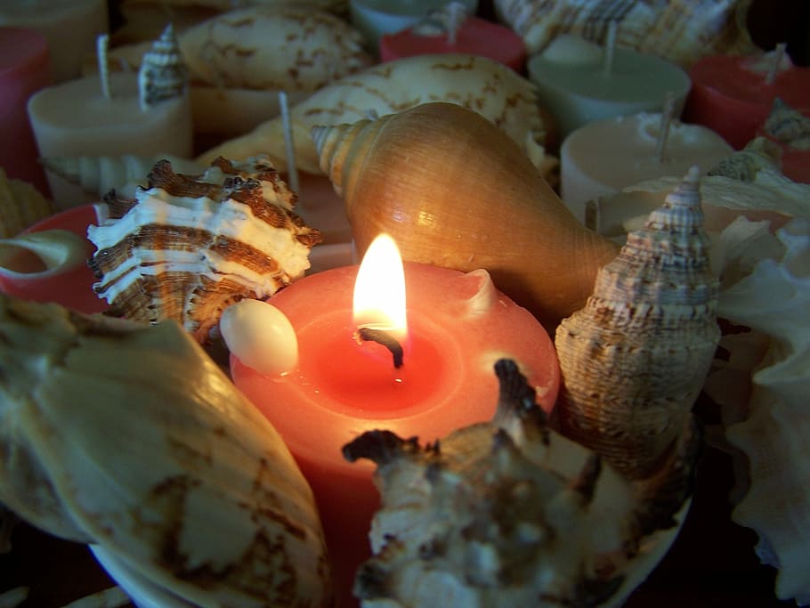 candela, conchiglie, luce, armonia, calmante, decorazione, fiamma, ardente, calore - temperatura, nessuno, avvicinamento, fuoco, fuoco - fenomeno naturale, illuminato, in casa, natura, cibo e bevande, raggiante, vista dall'alto, celebrazione, al forno, cibo, dolce, freschezza, concentrarsi sulle conoscenze acquisite, fusione, tentazione, 2K