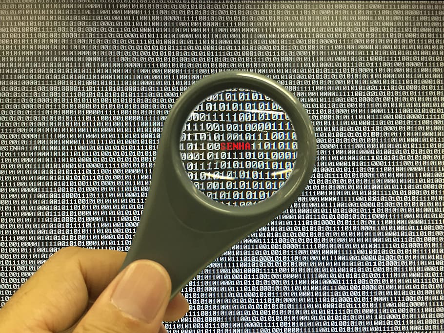 persona, magnificació, vidre, vermell, text, contrasenya, seguretat, lupa, bolcar, memòria, binari, lent, mà, dit, reflex, ordinador, hacker, confidencial, accés, monitor, lcd, tecnologia, pantalla, lloc, segur, insegur, registrar-se, sessió, pirateria, protegir, protecció, macro, Internet, part del cos humà, mà humana, a l'interior, una persona, celebració, persones reals, part del cos, persona irreconeixible, dit humà, forma, estils de vida, cercle, perspectiva personal, forma geomètrica, primer pla, escrutini, 2K
