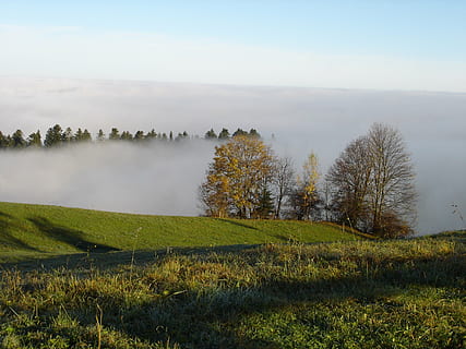 Nebel, Berge, Gipfel, Himmel, Nebelmeer, Grat, Pflanze, ruhige Szene, Baum, Ruhe, Schönheit in der Natur, Szenen - Natur, Landschaft, Umgebung, Land, Feld, Gras, Wachstum, Nicht-städtische Szene, Natur, keine Leute, Tag, grüne Farbe, draußen, dunstig, 2K, CC0, gemeinfrei, lizenzfrei