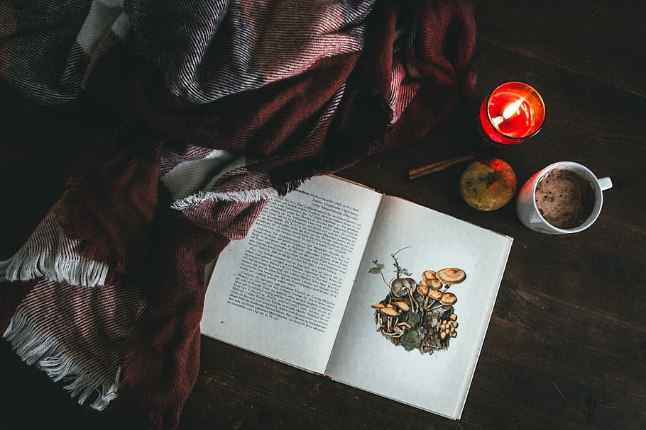vermell, tèxtil, llibre, taula, blanc, obert, ceràmica, tassa, espelma tealight, flatlay, fusta, manta, menjar i beguda, vista d’angle alt, menjar, frescor, una persona, a l'interior, directament a sobre, alimentació saludable, persones reals, secció mitjana, estils de vida, beure, llest per menjar, fruita, natura morta, benestar, refresc, esmorzar, 4K