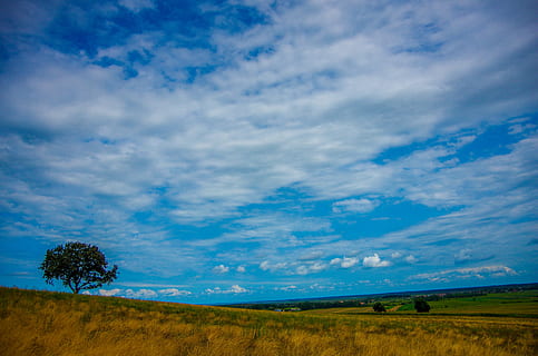 landskab, skyer, natur, Skov, Yenice, Kalkun, grøn, blå, himmel, Sky, træ, hvid, bjerg, fred, sky - himmel, plante, miljø, scenics - natur, jord, græs, skønhed i naturen, ingen mennesker, horisont over land, horisont, ro, ikke-urbane scene, Mark, rolig scene, landlige scene, udendørs, halvtørre, 4K, CC0, offentligt domæne, royaltyfrie