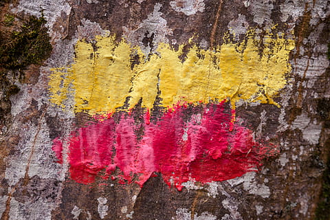 Brun, hvid, træstamme, gul, rød, maling, untitled, væg, sten-, ingen mennesker, multi farvet, træ, plante, Kunst og håndværk, natur, mønster, dag, tæt på, murbygningsfunktion, tekstureret, skønhed i naturen, kreativitet, udendørs, klippe, lyserød farve, rock-objekt, 5K, CC0, offentligt domæne, royaltyfrie