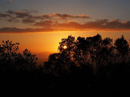Wolken, Himmel, Sonnenuntergang, Passage, Sonne, Abend, romantisch, Romantik, Gelb, hell, Sonnenlicht, Abendstunden, Bäume, Ausblick, Aussicht, Berge, kloster cura, Cura, Algaida, santuari de nostra senyora de cura, Puig de Randa, Balearen Spanien, mallorca, Franziskanerkloster, Wallfahrtsort, Natur, Dämmerung, Baum, Silhouette, orange Farbe, draußen, Landschaft, Sonnenaufgang - Morgendämmerung, szenen, Szenen - Natur, Schönheit in der Natur, ruhige Szene, Ruhe, Pflanze, keine Leute, idyllisch, Nicht-städtische Szene, wolke - himmel, Wachstum, Dramatischer Himmel, Land, romantischer Himmel, 4K, CC0, gemeinfrei, lizenzfrei