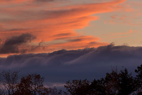 fotografering, nimbus skyer, solnedgang, baggrundsbelyst, skyer, daggry, dagslys, skumring, aften, efterår, tåge, landskab, lys, natur, udendørs, naturskøn, silhuet, himmel, træer, vejr, træ, sky - himmel, skønhed i naturen, scenics - natur, rolig scene, ro, plante, ingen mennesker, orange farve, idyllisk, vækst, ikke-urbane scene, dramatisk himmel, lav vinkel visning, 5K, CC0, offentligt domæne, royaltyfrie