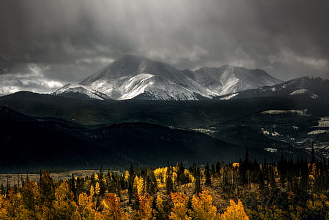 snedækkede bjerge, grøn, gul, træer, is, udjævnede, bjerg, overskyet, himmel, udsigt, dagtimerne, Snowcap, Skov, træ, spids, natur, landskab, scenics, alberta, bjergkæde, sne, Rocky Mountains, udendørs, skønhed i naturen, Canada, efterår, bjergtop, ingen mennesker, colorado, sky - himmel, miljø, scenics - natur, jord, snedækket bjerg, kold temperatur, ødemark, rejsemål, nåletræ, 5K, CC0, offentligt domæne, royaltyfrie