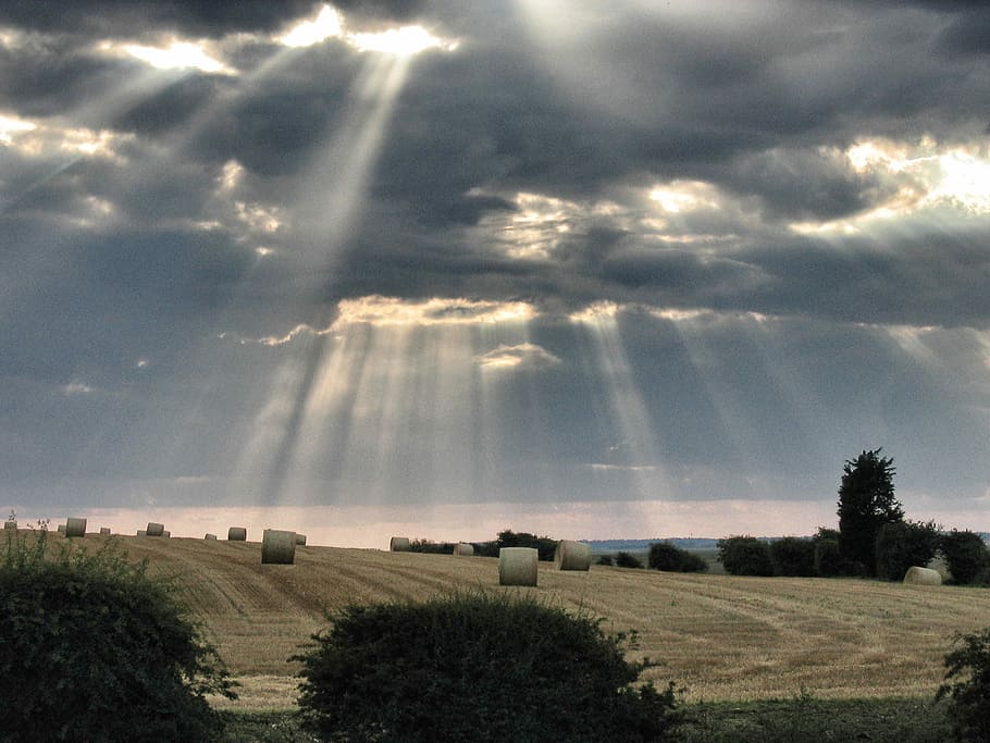 núvols, llum, eix, camps, naturalesa, sol, llum solar, temps, cloudscape, núvol - cel, paisatge, escenics, cel, escena rural, planta, arbre, cap gent, dia, bellesa a la natura, tranquil·litat, medi ambient, camp, escena tranquil·la, raig de sol, terra, transport, escenics - natura, a l'aire lliure, carretera, 2K