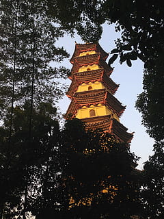 sunset, gold, tower, tree, belief, religion, spirituality, architecture, plant, built structure, place of worship, low angle view, building, no people, building exterior, nature, gold colored, sky, travel destinations, outdoors, history, spire, 2K, CC0, public domain, royalty free