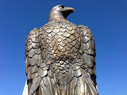 Weißkopfseeadler, Bronze-, Freiheit, Adler, dom, Vereinigte Staaten, Patriotismus, amerikanisch, patriotisch, majestätisch, Flagge, National, Nationalvogel, keine Leute, Tag, Nahansicht, klarer Himmel, draußen, Himmel, Kunst und Handwerk, Darstellung, Skulptur, Statue, Kreativität, Kunst, Flachwinkelansicht, menschliche Darstellung, die Architektur, Blau, männliche Ähnlichkeit, Religion, Natur, gebaute Struktur, Spiritualität, Geschichte, 2K, CC0, gemeinfrei, lizenzfrei