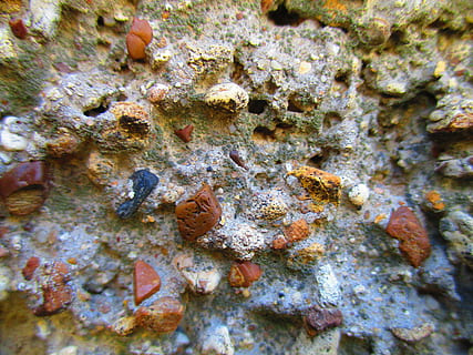 paret, textura, fons, pedra, construcció, la façana del, construcció de parets, sota l'aigua, fauna animal, temes d'animals, animal, la vida marina, submarí, marc complet, primer pla, cap gent, enfocament selectiu, naturalesa, aspre, dia, animals a la natura, patró, molsa, planta, camuflatge, fong, creixement, patró natural, liquen, marí, 5K, CC0, domini públic, lliure de regalies