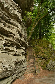 Rocha, armadilha, floresta, Sombrio, altura, verde, echternach, Luxemburgo, plantar, árvore, direção, beleza na natureza, ninguém, natureza, o caminho a seguir, dia, tranquilidade, terra, cena tranquila, scenics - natureza, cena não urbana, trilha, crescimento, sólido, rock - objeto, formação rochosa, ao ar livre, corroído, fluindo, formação, 4K, CC0, domínio público, royalty free