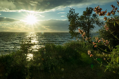 raio de Sol, batendo, corpo, agua, verde, gramados, branco, nuvens, nascer do sol, de praia, costa, alvorecer, flores, grama, panorama, sai, natureza, oceano, ao ar livre, reflexões, mar, vista do mar, Beira Mar, à beira-mar, céu, Dom, raios de sol, por do sol, arvores, ondas, beleza na natureza, plantar, luz solar, tranquilidade, crescimento, árvore, nuvem - céu, cena tranquila, ninguém, terra, reflexo de lente, scenics - natureza, brilhante, 4K, CC0, domínio público, royalty free