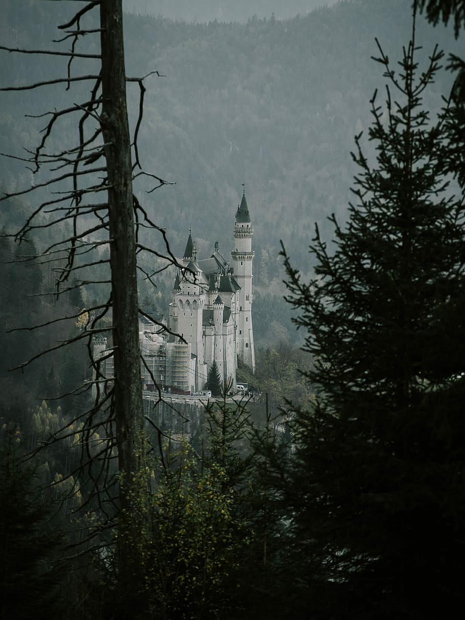 Castelul Neuschwanstein, Germania, castel, mijloc, pădure, clădire, arhitectură, copac, plantă, exteriorul clădirii, construită, natură, religie, lăcaș de cult, credință, spiritualitate, turn, nici o persoana, ceaţă, cer, destinații de călătorie, creştere, în aer liber, turlă, 4K