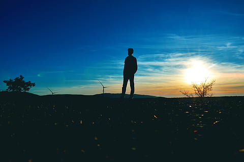 silhouette, Mann, trefoto, bakgrunnsbelyst, blå himmel, skyer, skumring, kveld, landskap, natur, hav, gammel person, utendørs, refleksjon, strandlinjen, silhuetter, himmel, sol, solstråler, solnedgang, trær, vann, vindmøller, én person, skjønnhet i naturen, stående, ekte folk, fritidsaktivitet, naturskjønnhet - natur, land, livsstil, felt, rolig scene, ro, full lengde, menn, sky - himmel, blå, sollys, 4K, CC0, offentlig domene, opphavsrett gratis
