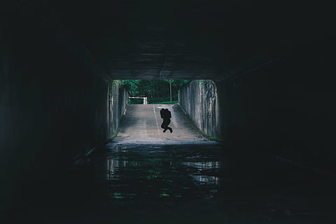 person, jumping, tunnel, road, dark, path, people, jump, water, silhouette, one person, adult, one man only, full length, pets, city, day, architecture, built structure, men, indoors, real people, child, childhood, walking, boys, leisure activity, building, males, offspring, social issues, light at the end of the tunnel, 5K, CC0, public domain, royalty free