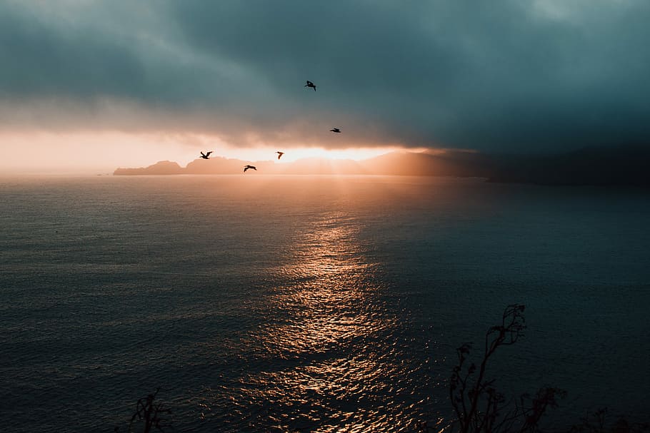 foto, volant, ocells, cos, aigua, vol, calma, ocell, núvol, oceà, horitzó, tempesta, taronja, blau, posta de sol, fosc, volar, mar, última llum, reflexió, a l'est, oest, Costa, llac, temes d'animals, cel, bellesa a la natura, animal, vertebrats, grup d’animals, escenics - natura, animals a la natura, núvol - cel, fauna animal, tranquil·litat, escena tranquil·la, llum solar, naturalesa, sol, horitzó sobre l’aigua, cap gent, ramat d’ocells, a l'aire lliure, 4K