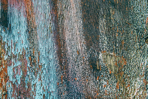 shot, fading, paint, multiple, colours, image, captured, canon dslr, Closeup, Canon, DSLR, textures, backgrounds, wood - Material, abstract, old, textured, pattern, material, rough, weathered, close-up, plank, dirty, full frame, day, no people, outdoors, wall - building feature, nature, trunk, tree trunk, built structure, architecture, brown, 4K