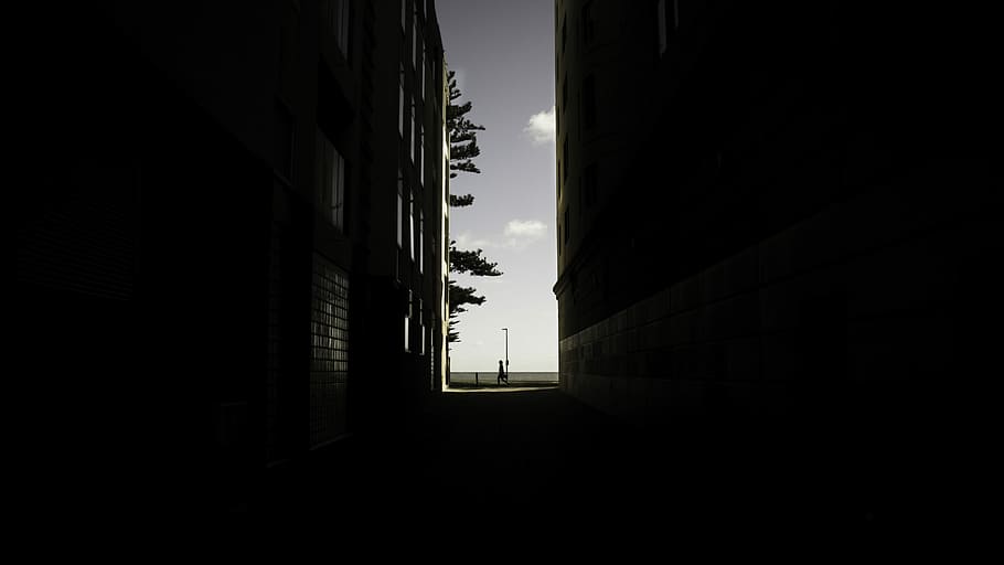 sense títol, edifici, finestra, arquitectura, ombra, caminar, carreró, persona, silueta, cel, arbre, vista, carrer, maó, llum del carrer, exterior de l'edifici, estructura construïda, cap gent, naturalesa, ciutat, dia, còpia espai, a l'aire lliure, fosc, vista d’angle baix, llum solar, vida de ciutat, barri residencial, funció de construcció de parets, absència, llum al final del túnel, apartament, 5K